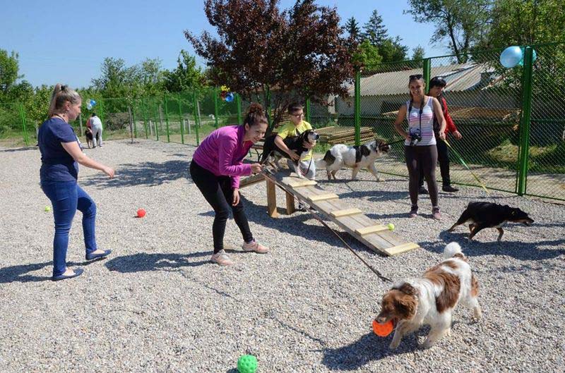 Приют за бездомни животни в Пловдив с нова система за охлаждане